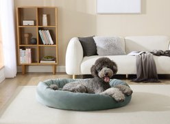 Arlee Home & Pet Orbit Orthopedic Durable Eco-Friendly Memory Foam Bolster Dog & Cat Bed, Aloe, 50 x 34 x 11-in