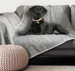 Arlee Home & Pet Waterproof Dog & Cat Throw Blanket, 60 x 70 x 0.5-in, Charcoal