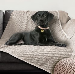 Arlee Home & Pet Waterproof Dog & Cat Throw Blanket, 60 x 70 x 0.5-in, Taupe