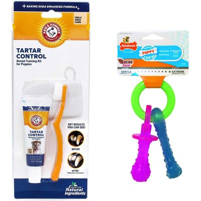 Arm & Hammer Products Arm & Hammer Dental Tartar Control Puppy Enzymatic Toothpaste & Dental Training Kit + Nylabone Teething Pacifier Chew Toy