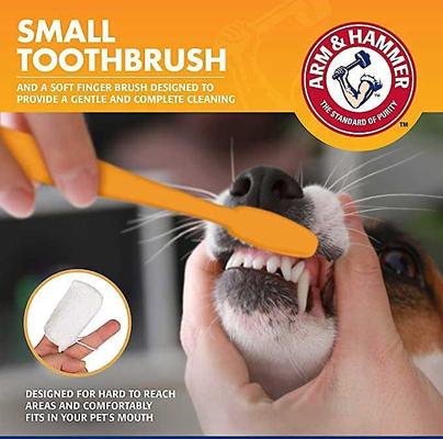 Show full view: Arm & Hammer Dental Tartar Control Puppy Enzymatic Toothpaste & Dental Training Kit + Nylabone Teething Pacifier Chew Toy slide 5 of 9
