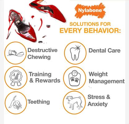 Show full view: Arm & Hammer Dental Tartar Control Puppy Enzymatic Toothpaste & Dental Training Kit + Nylabone Teething Pacifier Chew Toy slide 8 of 9