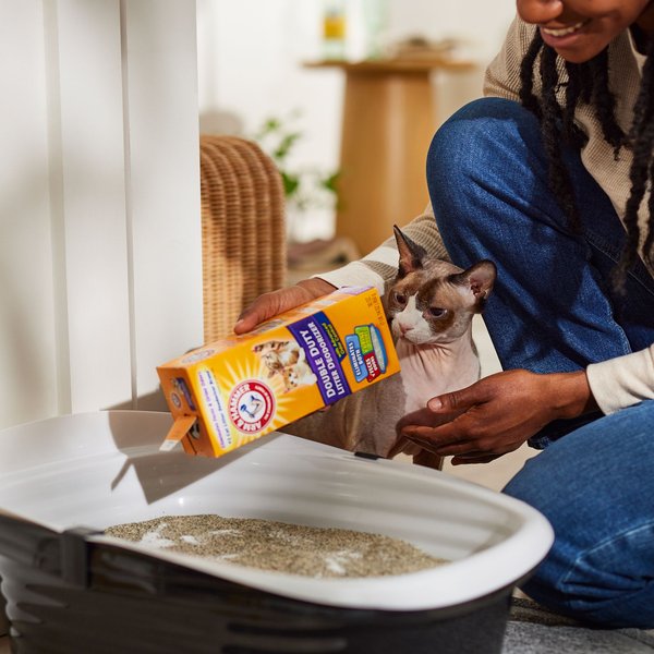 Arm & Hammer Litter Baking Soda Double Duty Cat Litter Deodorizer
