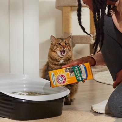 Show full view: Arm & Hammer Litter Cat Litter Deodorizer Powder, 30-oz box slide 5 of 7