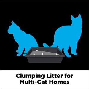 Arm & Hammer Litter Cloud Control Platinum Multi-Cat Clumping Cat Litter with Hypoallergenic Light Scent, 18-lb box