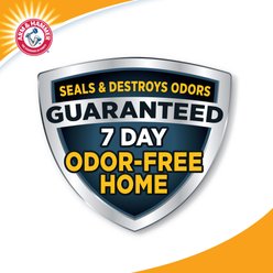 Arm & Hammer Litter Clump & Seal Complete Odor Sealing Clumping Cat Litter, Fresh Home with Ultra Odor Blasters with 10 Days of Odor Control, 19-lb box slide 2 of 9