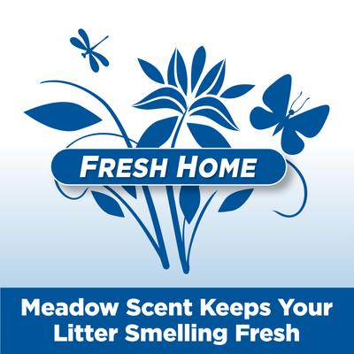 Show full view: Arm & Hammer Litter Clump & Seal Complete Odor Sealing Clumping Cat Litter, Fresh Home with Ultra Odor Blasters with 10 Days of Odor Control, 28-lb box slide 6 of 12