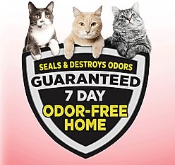 Arm & Hammer Litter Clump & Seal Multi-Cat Scented Clumping Clay Cat Litter, 28-lb box slide 2 of 9