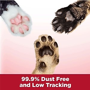 Arm & Hammer Litter Clump & Seal Multi-Cat Scented Clumping Clay Cat Litter, 28-lb box