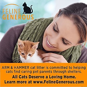 Arm & Hammer Litter Clump & Seal Multi-Cat Scented Clumping Clay Cat Litter, 28-lb box