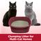 Show in main carousel: Arm & Hammer Litter Clump & Seal Multi-Cat Scented Clumping Clay Cat Litter, 38-lb box slide 5 of 12