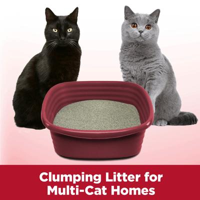 Show full view: Arm & Hammer Litter Clump & Seal Multi-Cat Scented Clumping Clay Cat Litter, 38-lb box slide 5 of 12