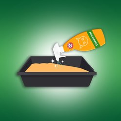 Arm & Hammer Litter Daily Litter Fragrance Booster Spray, 21.5-fl oz bottle slide 2 of 3