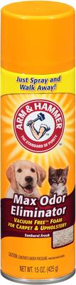 Show full view: Arm & Hammer Litter Max Dog & Cat Odor Eliminator, 15-fl oz bottle slide 1 of 2