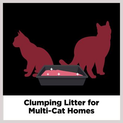 Show full view: Arm & Hammer Litter Platinum Clump & Seal Cat Litter, 27.5-lb box slide 6 of 13