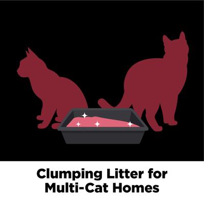 Show full view: Arm & Hammer Litter Platinum Clump & Seal Cat Litter, 37-lb box slide 7 of 12