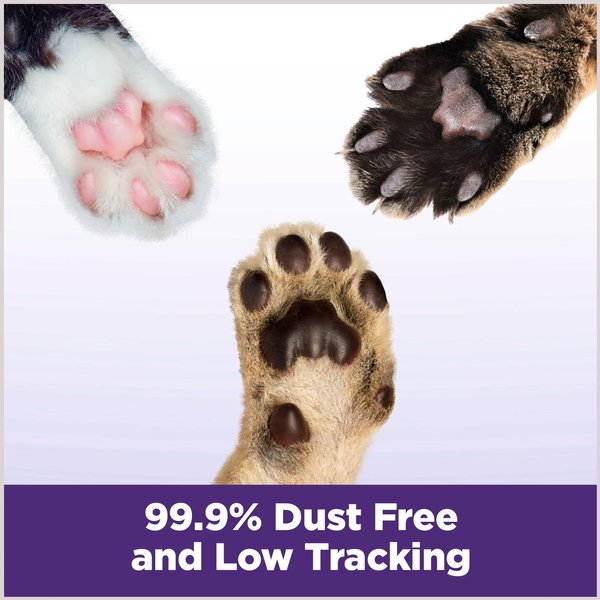 Arm & Hammer Litter Slide Multi-Cat Unscented Clumping Clay Cat Litter
