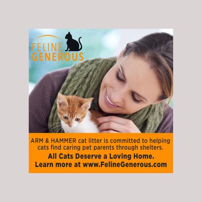 Show full view: Arm & Hammer Litter Slide Multi-Cat Scented Clumping Clay Cat Litter, 14-lb box slide 8 of 13