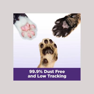 Show full view: Arm & Hammer Litter Slide Multi-Cat Scented Clumping Clay Cat Litter, 19-lb box slide 6 of 14