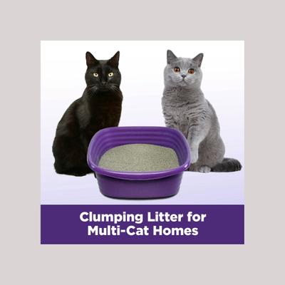 Show full view: Arm & Hammer Litter Slide Multi-Cat Scented Clumping Clay Cat Litter, 19-lb box slide 8 of 14