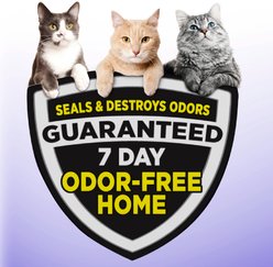 Arm & Hammer Litter Slide Multi-Cat Scented Clumping Clay Cat Litter, 28-lb box slide 2 of 9