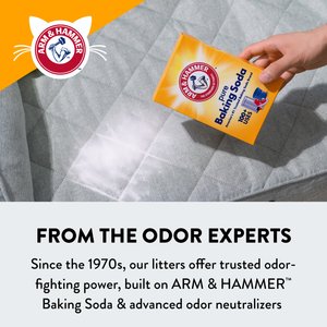 Arm & Hammer Litter Slide Multi-Cat Scented Clumping Clay Cat Litter, 38-lb box