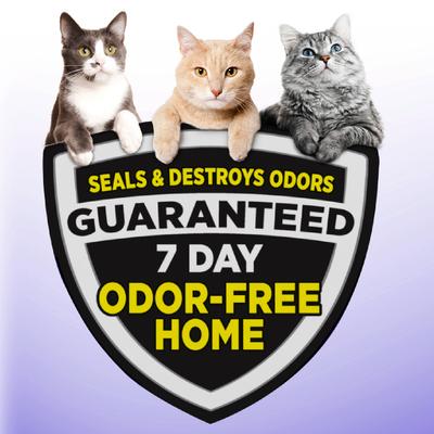 Arm & Hammer Litter Slide Multi-Cat Scented Clumping Clay Cat Litter