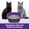 Show in main carousel: Arm & Hammer Litter Slide Multi-Cat Scented Clumping Clay Cat Litter, 38-lb box slide 6 of 14