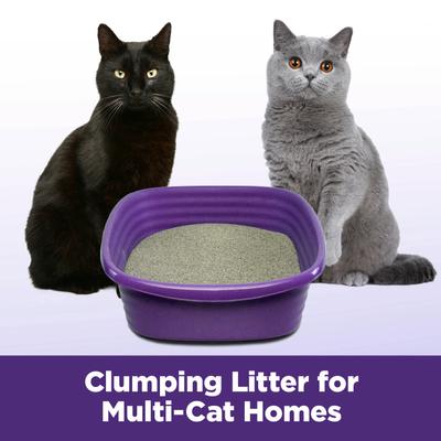 Show full view: Arm & Hammer Litter Slide Multi-Cat Scented Clumping Clay Cat Litter, 38-lb box slide 6 of 14