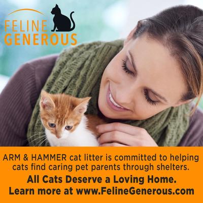 Show full view: Arm & Hammer Litter Slide Multi-Cat Scented Clumping Clay Cat Litter, 38-lb box slide 8 of 14