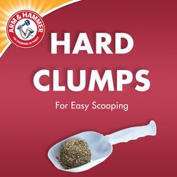 Arm & Hammer Litter Super Scoop Unscented Clumping Clay Cat Litter, 40-lb box slide 2 of 9
