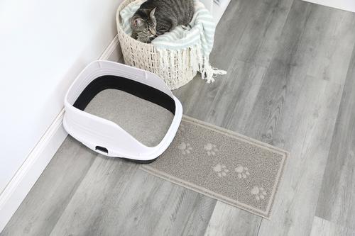 Show full view: Arm & Hammer Paws Cat Litter Box Mat, 23 x 13-in slide 3 of 5