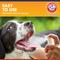 Show in main carousel: Arm & Hammer Products Complete Care Mint Flavored Dog Dental Spray, 6-oz bottle slide 5 of 9