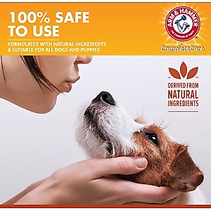 Arm & Hammer Products Complete Care Mint Flavored Dog Dental Spray, 6-oz bottle