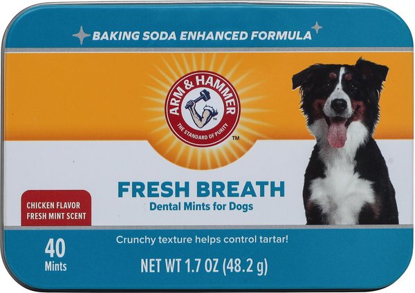 Dog Breath Mints Recipe Diy Dog Mints Healthy Dog Easy Homemade
