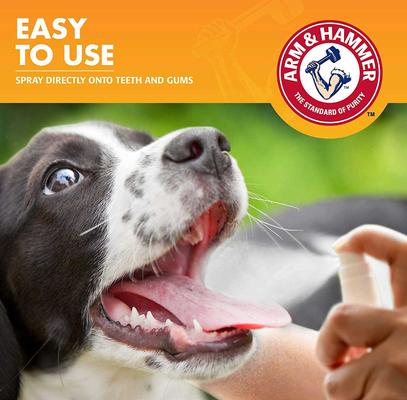 Show full view: Arm & Hammer Products Fresh Breath Mint Flavored Dog Dental Spray, 4-fl oz bottle slide 7 of 9