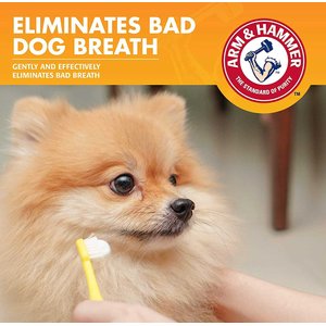 Arm & Hammer Products Fresh Breath Vanilla-Ginger Flavored Dog Dental Kit, 2.5-oz tube