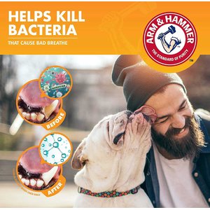 Arm & Hammer Products Fresh Breath Vanilla-Ginger Flavored Dog Dental Kit, 2.5-oz tube