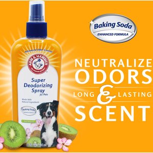 Arm & Hammer Products Kiwi Blossom Super Deodorizing Dog Spray, 8-fl oz bottle