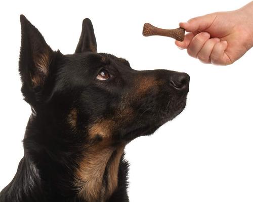 Show full view: Arm & Hammer Products Original Peanut Butter Flavor Dog Dental Chews, 20 count slide 5 of 10