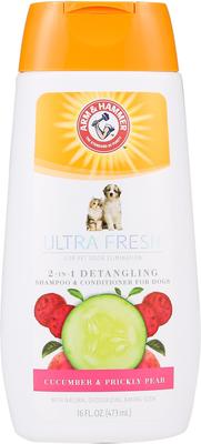 Show full view: Arm & Hammer Products Pet Fresh 2-in-1 Detangling Cucumber & Prickly Pear Dog Shampoo & Conditioner, 16-fl oz bottle slide 1 of 2