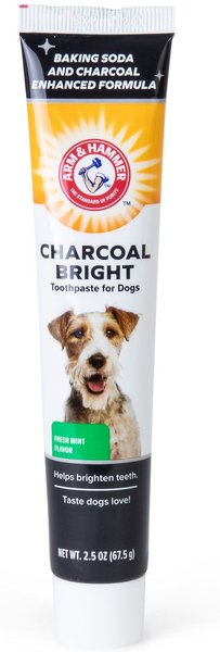 Arm & Hammer Products Plaque Removal Fresh Mint Flavored Charcoal Dog Dental Kit