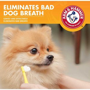 Arm & Hammer Products Products Fresh Breath Chicken Flavored Enzymatic Dog Dental Kit
