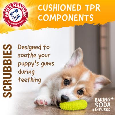 Show full view: Arm & Hammer Products Scrubbies Moderate Puppy Chew Ring Dental Dog Chew Toy, Green, Small slide 5 of 8