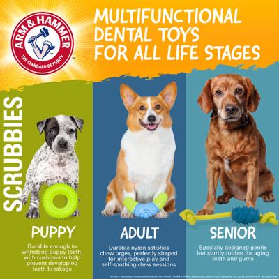Show full view: Arm & Hammer Products Scrubbies Moderate Puppy Chew Ring Dental Dog Chew Toy, Green, Small slide 7 of 8