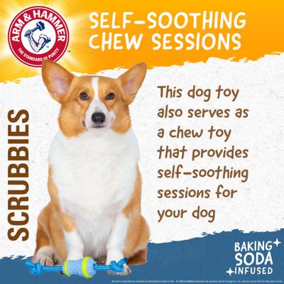 Show full view: Arm & Hammer Products Scrubbies Throw N' Tug Moderate Adult Dental Dog Chew Toy, Multicolor, Small slide 5 of 8