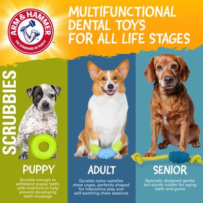 Show full view: Arm & Hammer Products Scrubbies Throw N' Tug Moderate Adult Dental Dog Chew Toy, Multicolor, Small slide 8 of 8