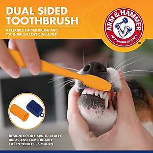 Arm & Hammer Products Tartar Control Banana Mint Flavored Enzymatic Dog Dental Kit