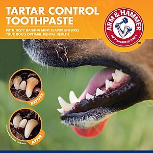 Arm & Hammer Products Tartar Control Banana Mint Flavored Enzymatic Dog Dental Kit