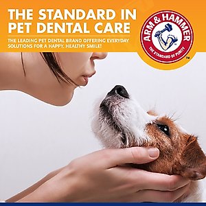 Arm & Hammer Products Tartar Control Banana Mint Flavored Enzymatic Dog Dental Kit